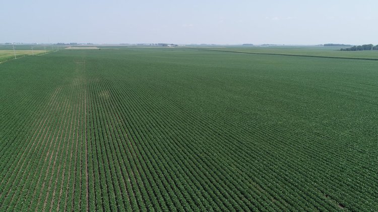 Image for Calhoun County Farmland Auction