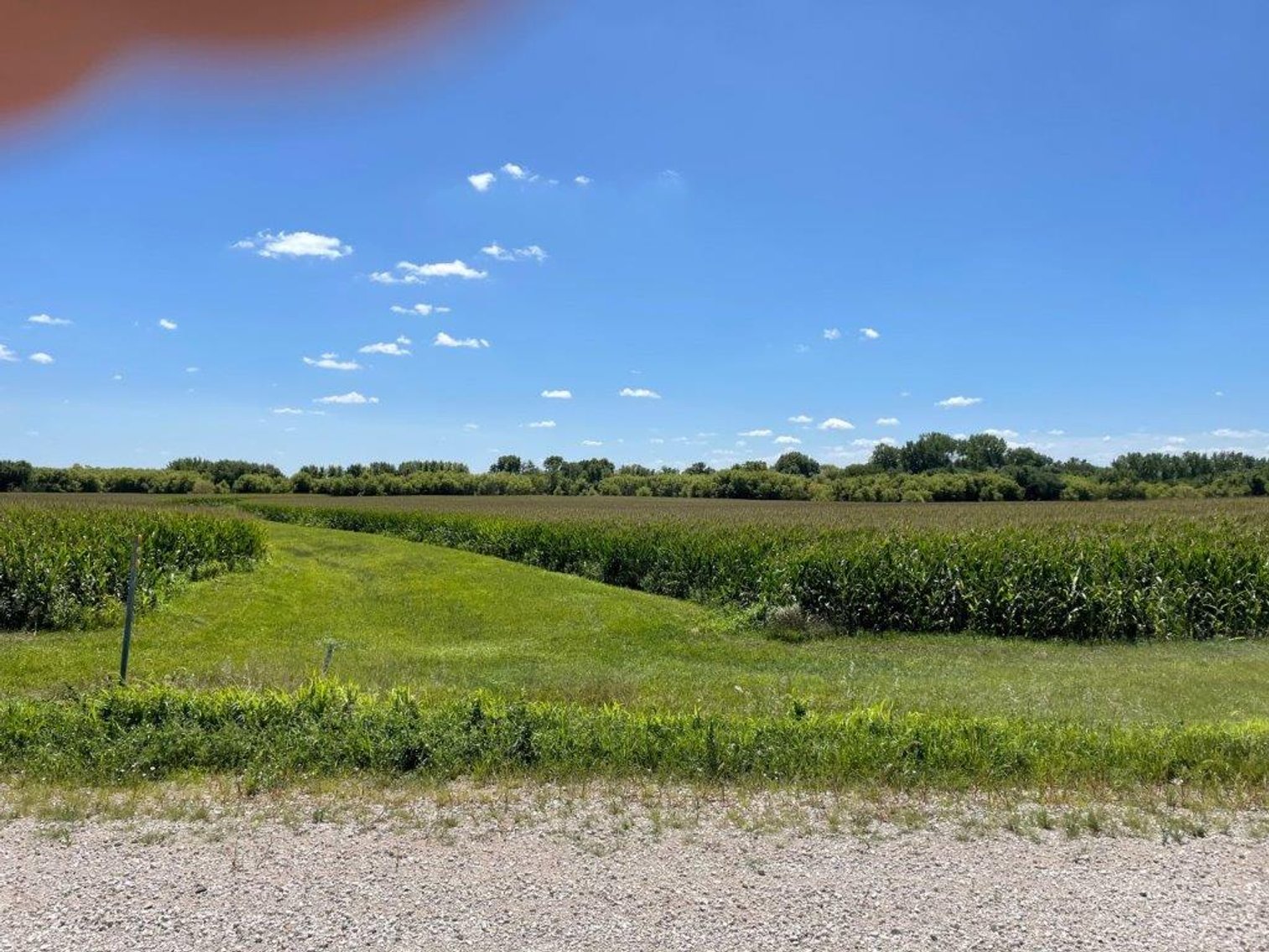 Image for Calhoun County Land Auction!