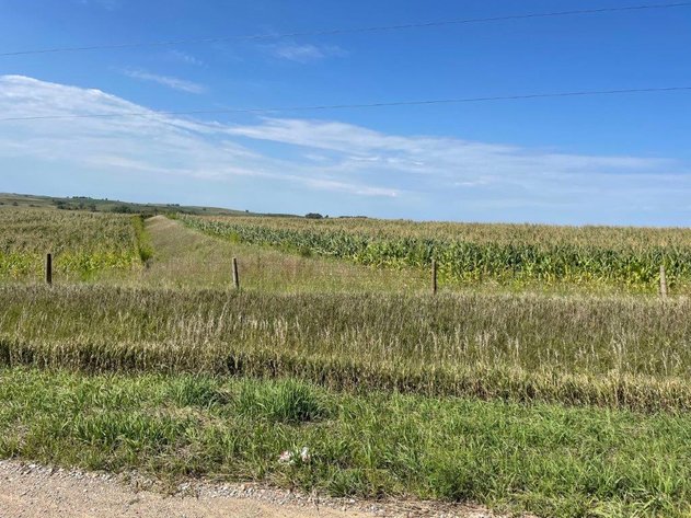 Image for Crawford County Land Auction!