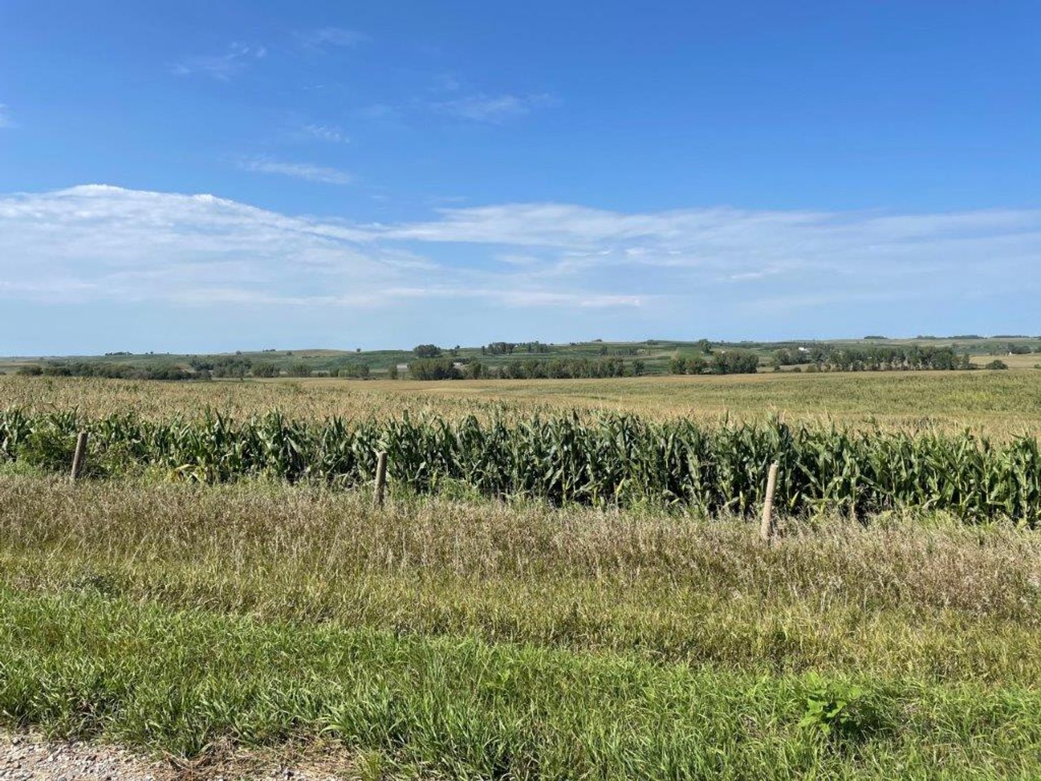 Image for Crawford County Land Auction!