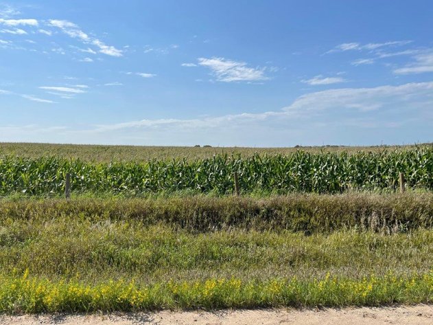 Image for Crawford County Land Auction!