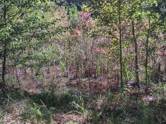 Image for Woodstock, GA: 1.13± Acre Commercial Tract at Parkway 575, Woodstock GA 30188 (Cherokee County)