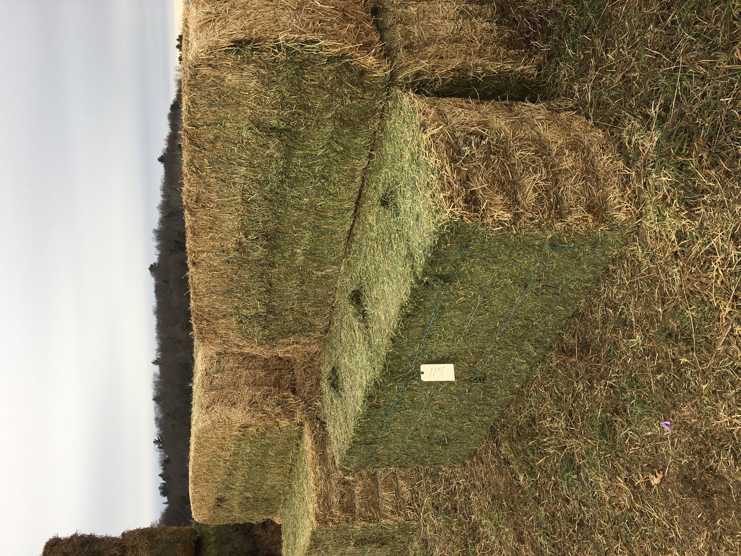 Image for MARCH HAY AND FIREWOOD AUCTION