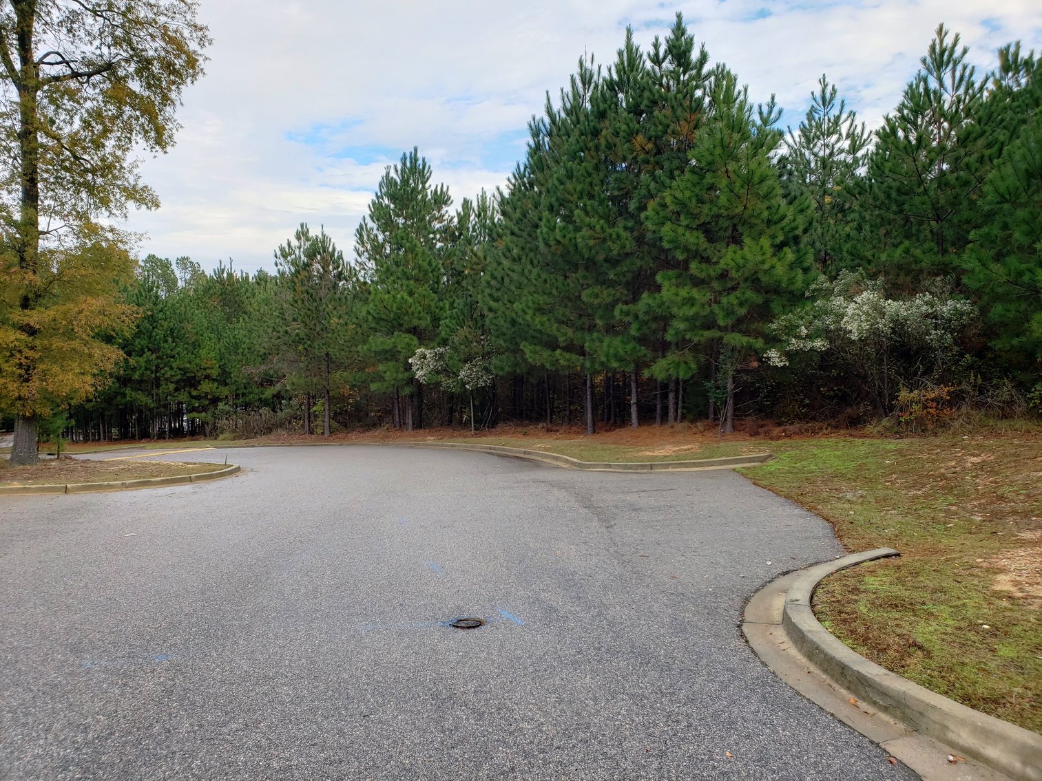 Image for Irmo, SC: 3 Commercial Lots Totaling 2 Acres at 7448 Broad River Rd, Irmo, SC 29063 (Richland County)