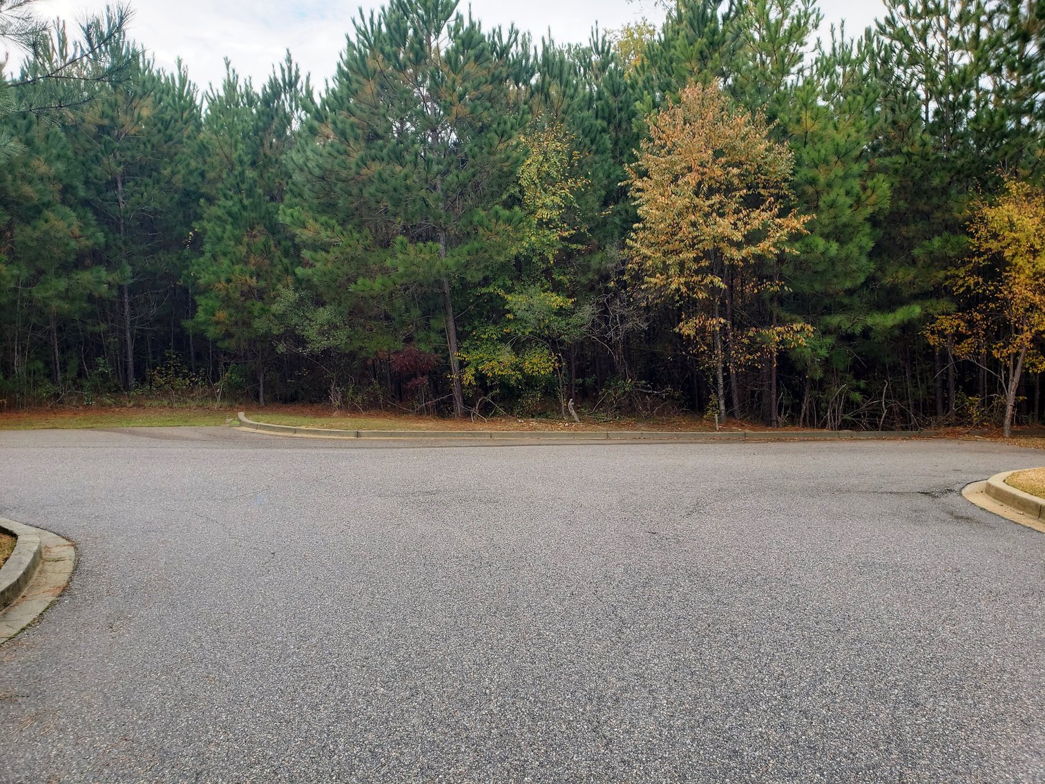 Image for Irmo, SC: 3 Commercial Lots Totaling 2 Acres at 7448 Broad River Rd, Irmo, SC 29063 (Richland County)