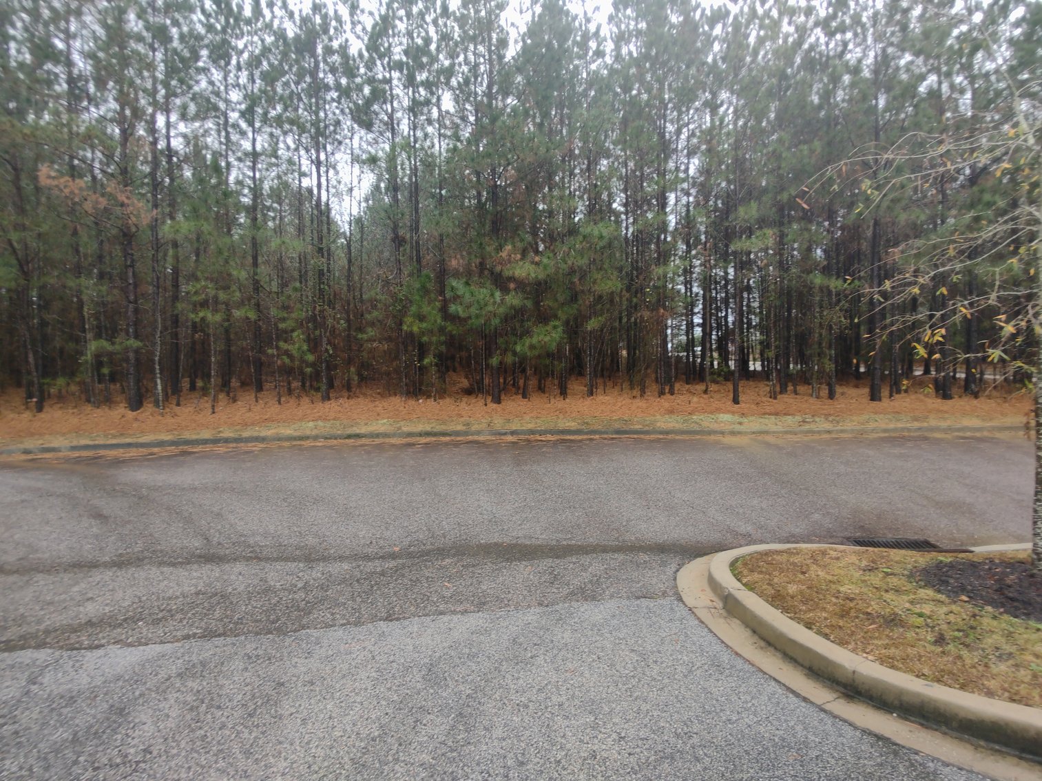 Image for Irmo, SC: 3 Commercial Lots Totaling 2 Acres at 7448 Broad River Rd, Irmo, SC 29063 (Richland County)