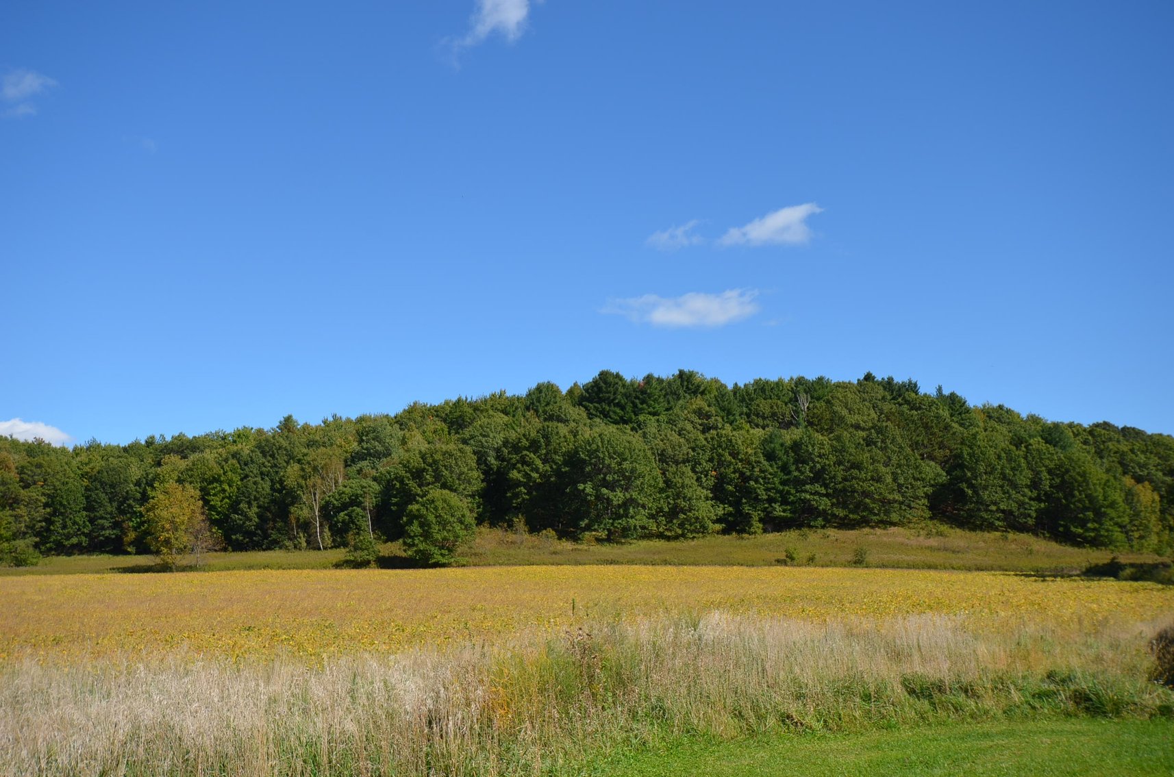 Image for 160 ACRE FARM IN EAU CLAIRE COUNTY, WI