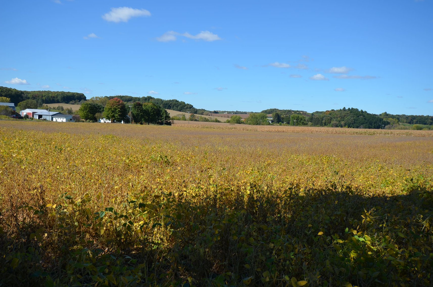 Image for 160 ACRE FARM IN EAU CLAIRE COUNTY, WI
