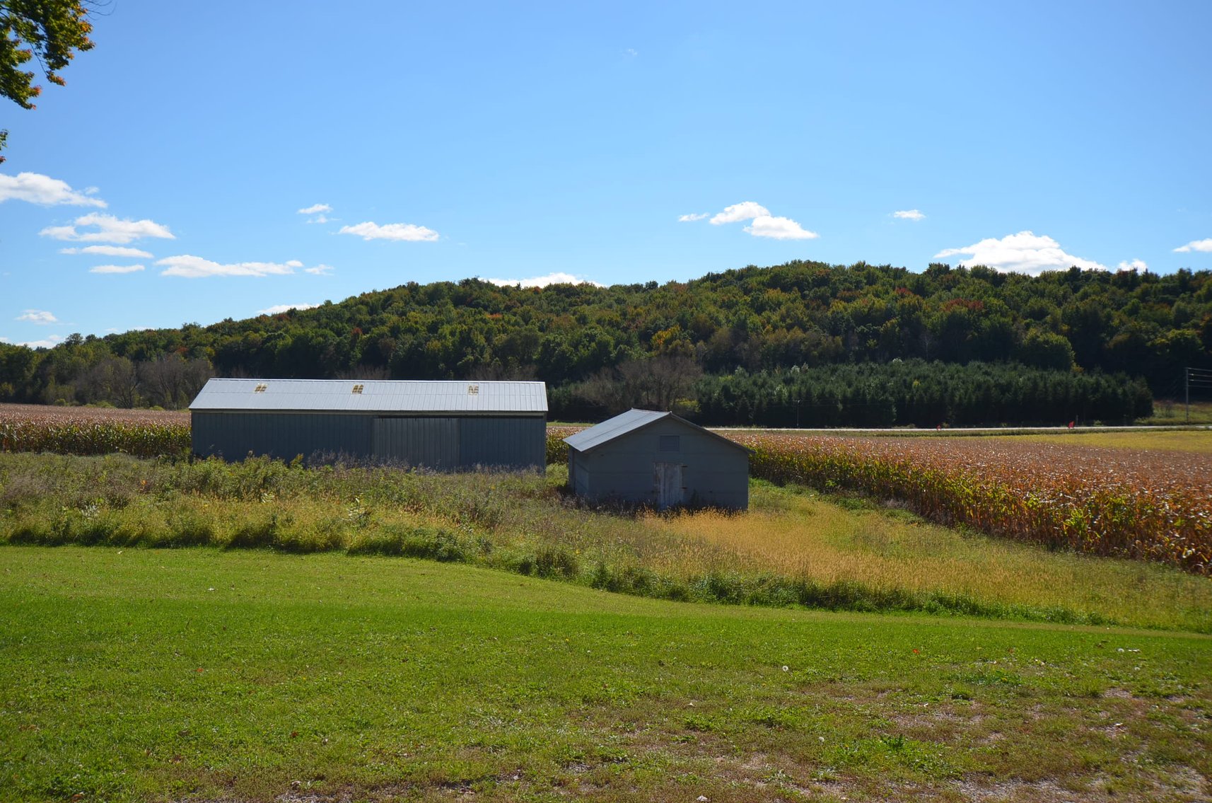 Image for 160 ACRE FARM IN EAU CLAIRE COUNTY, WI