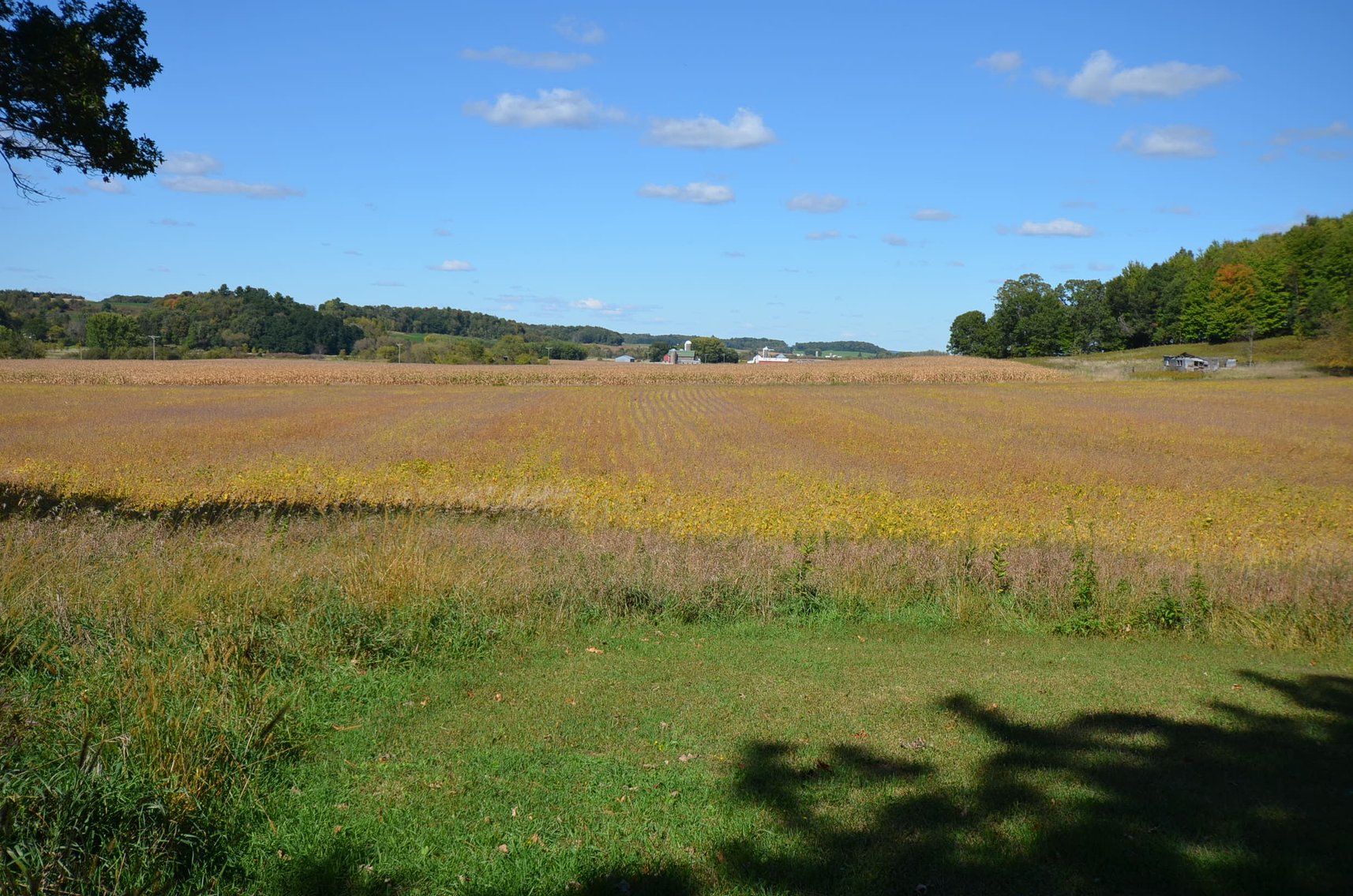 Image for 160 ACRE FARM IN EAU CLAIRE COUNTY, WI