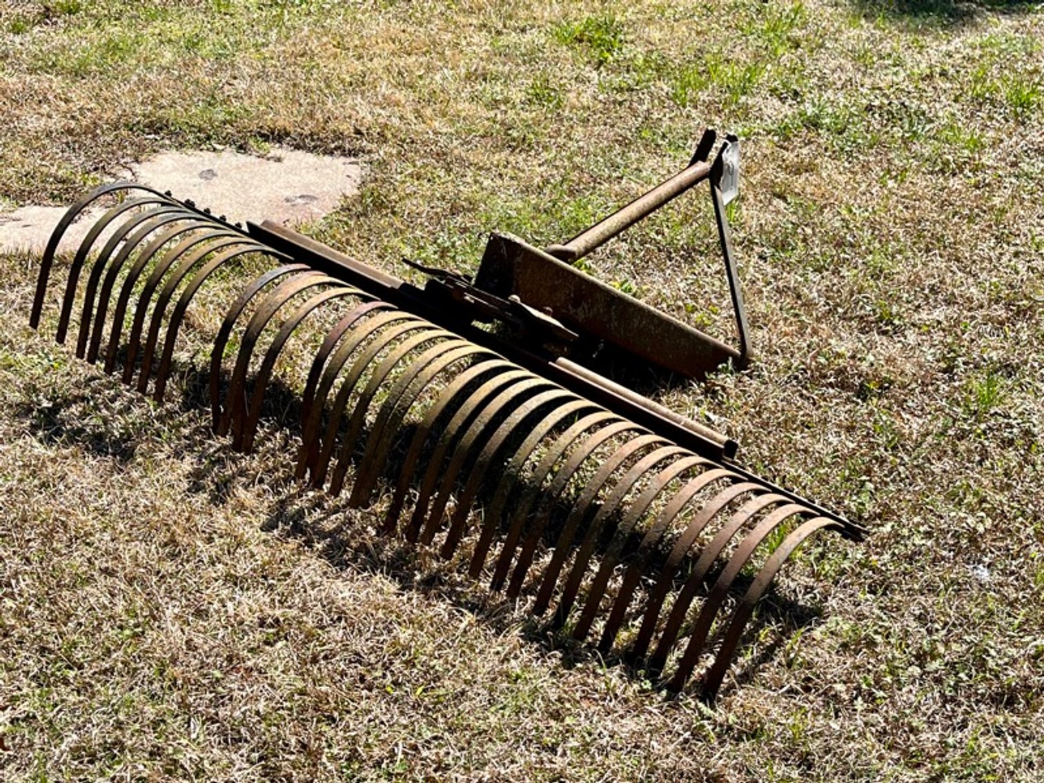 Image for Beulah Blueberry U-Pick Retirement Auction