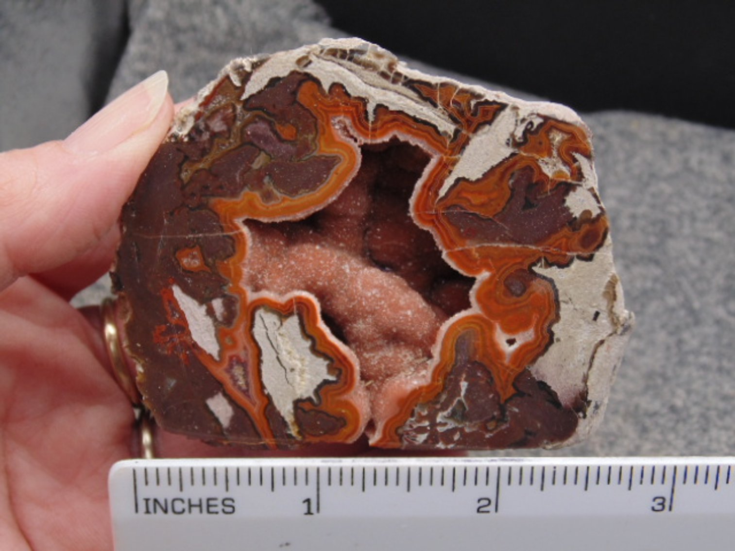 Image for Lapidary: Agates, Fossils, Jewelry, Equipment & More