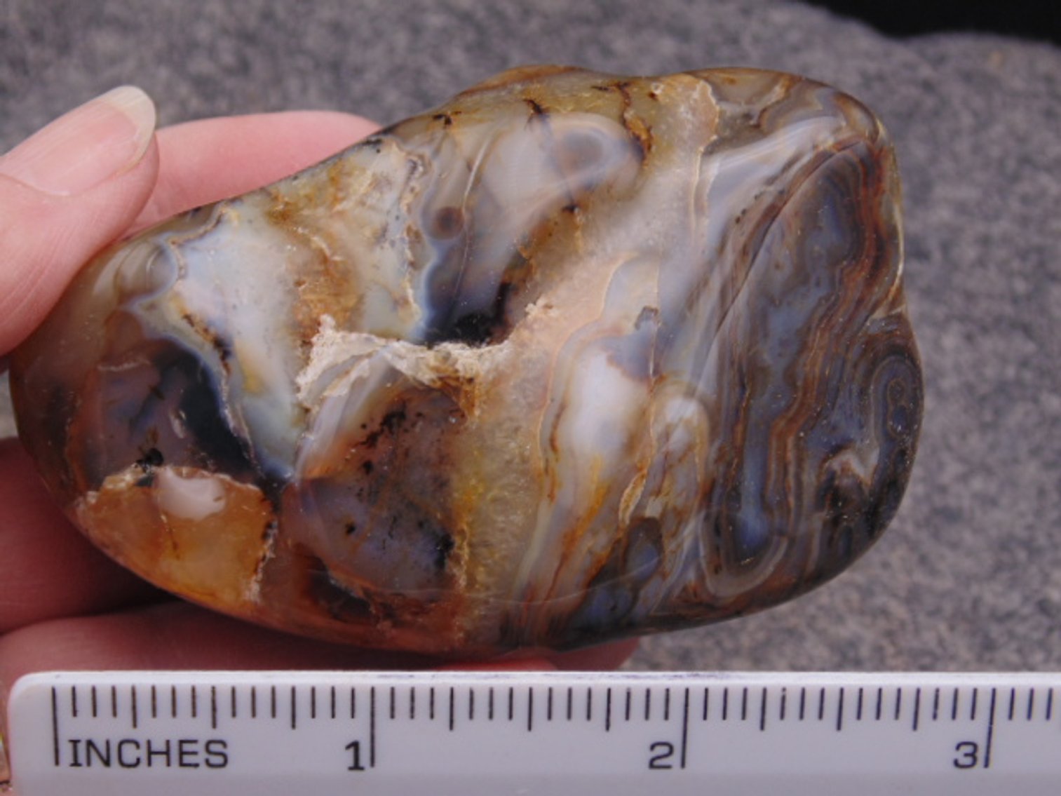 Image for Lapidary: Agates, Fossils, Jewelry, Equipment & More