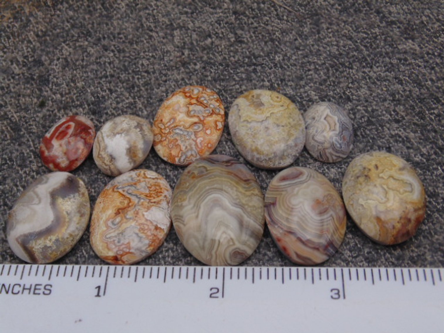 Image for Lapidary: Agates, Fossils, Jewelry, Equipment & More