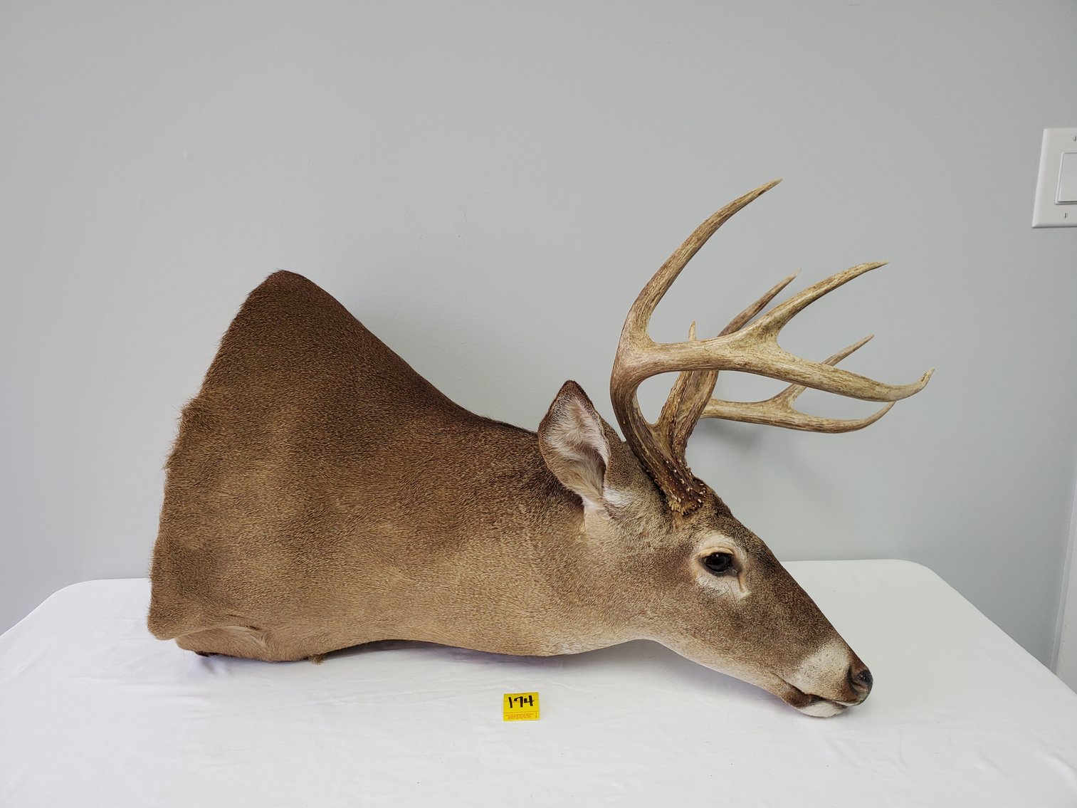 Image for Haney Estate - Firearms, ATV, Ammo, Electronics, Hunting Gear & More