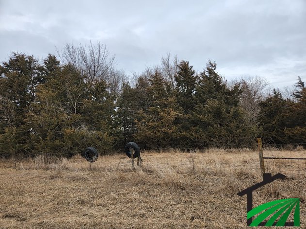 Image for Sac County Recreational Property Auction!