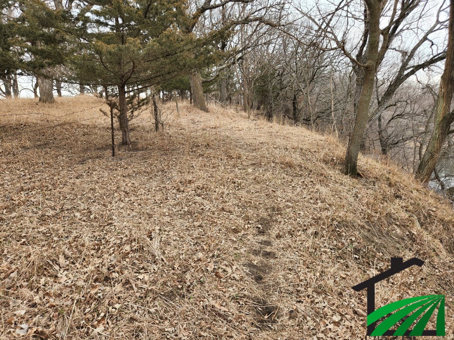 Image for Sac County Recreational Property Auction!