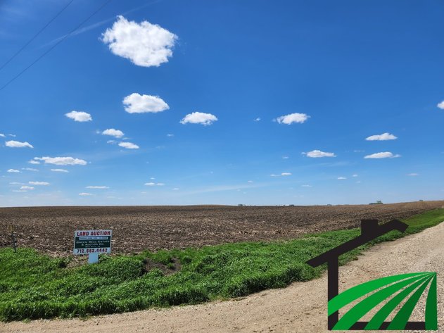 Image for Calhoun County Land Auction!