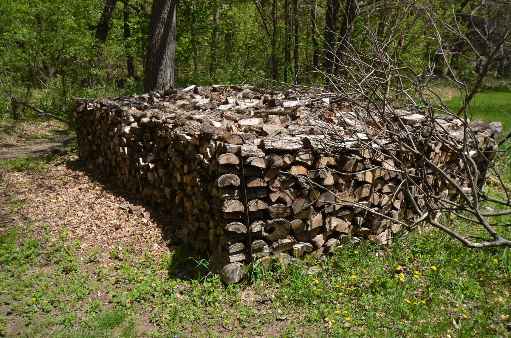 Image for COLLECTIBLES, LAWN&GARDEN, HOUSEHOLD, AND MORE