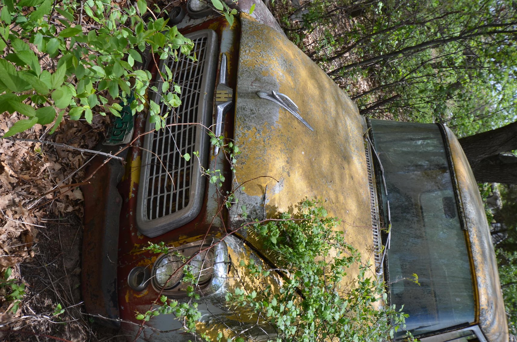 Image for COLLECTIBLES, LAWN&GARDEN, HOUSEHOLD, AND MORE