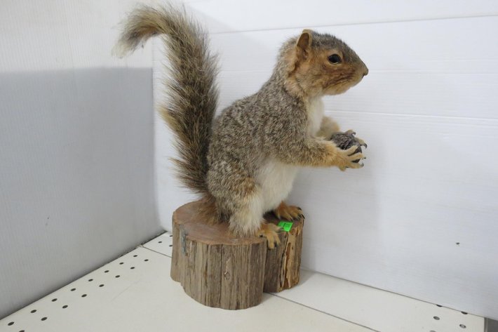 Image for Hidden Treasures Gallery