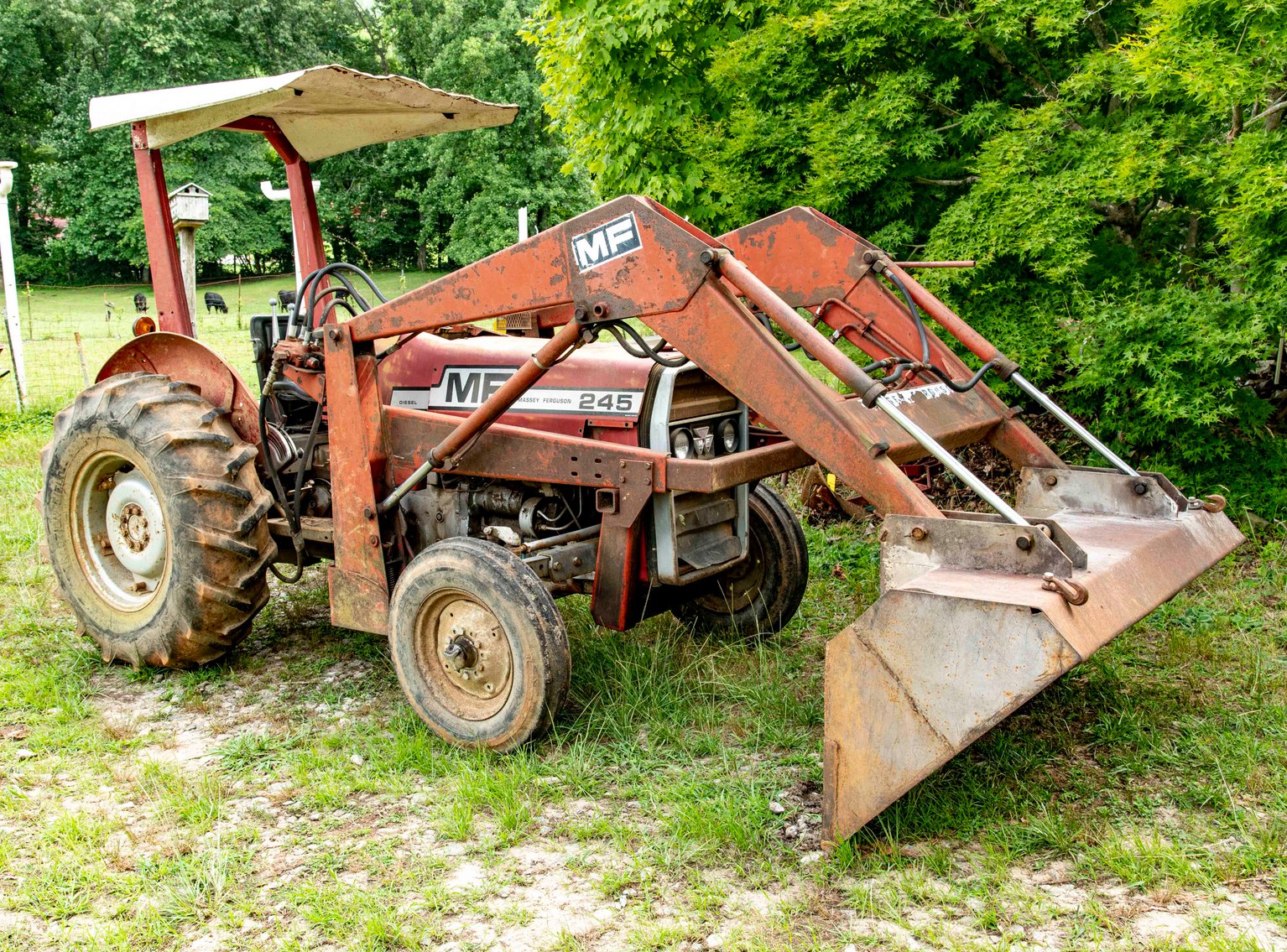 Image for Online Farm Auction