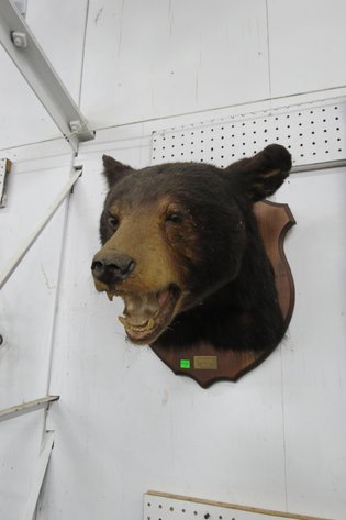 Image for Hidden Treasures Gallery