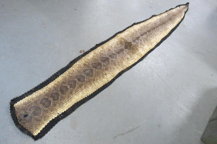 Image for Hidden Treasures Gallery