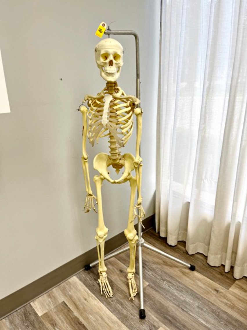 Image for Southern Orthopaedics