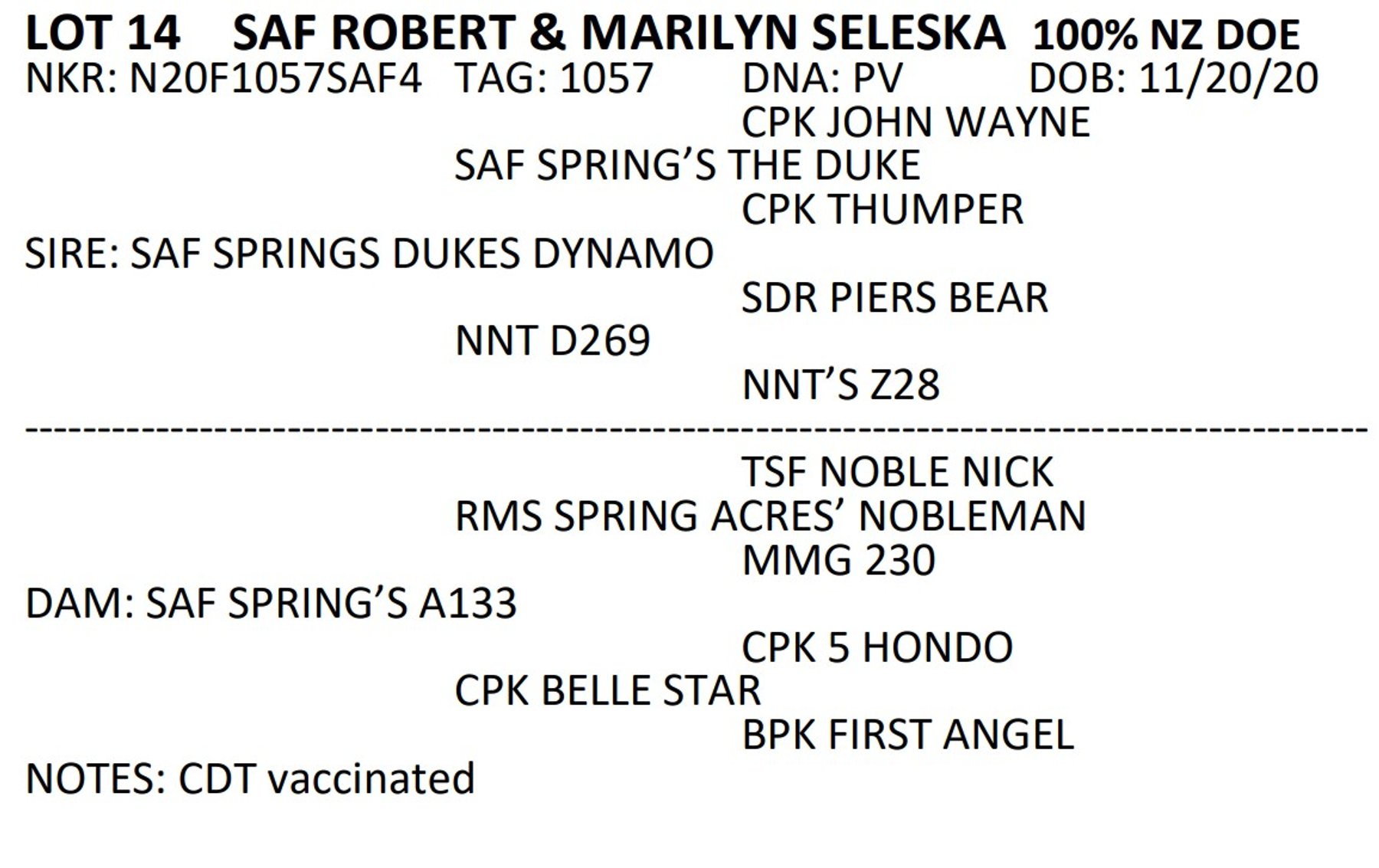 Image for 2022 Heritage Kiko Showcase Sale