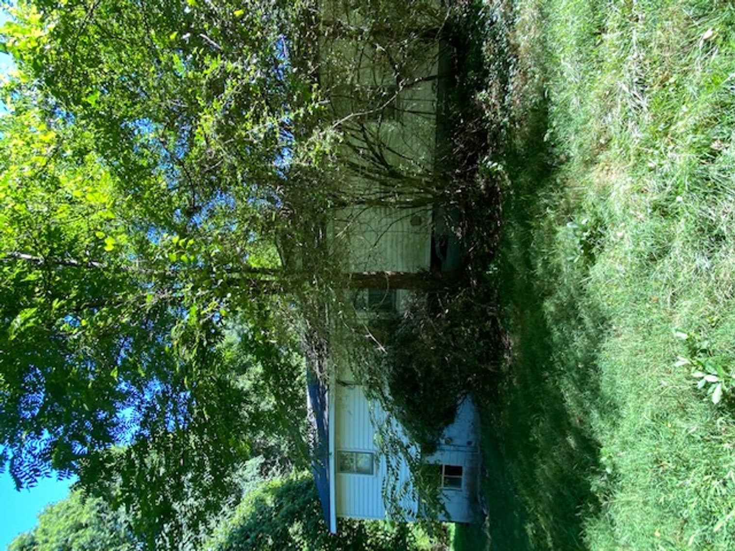 Image for Estate of Janie VIrginia Washburn Tucker (deceased)