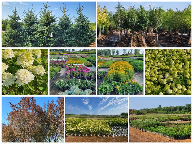 Image for Wilson's Nursery Fall 2022 Inventory Reduction