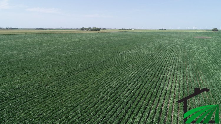 Image for Webster County Farmland Auction!