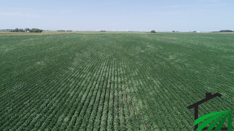 Image for Webster County Farmland Auction!