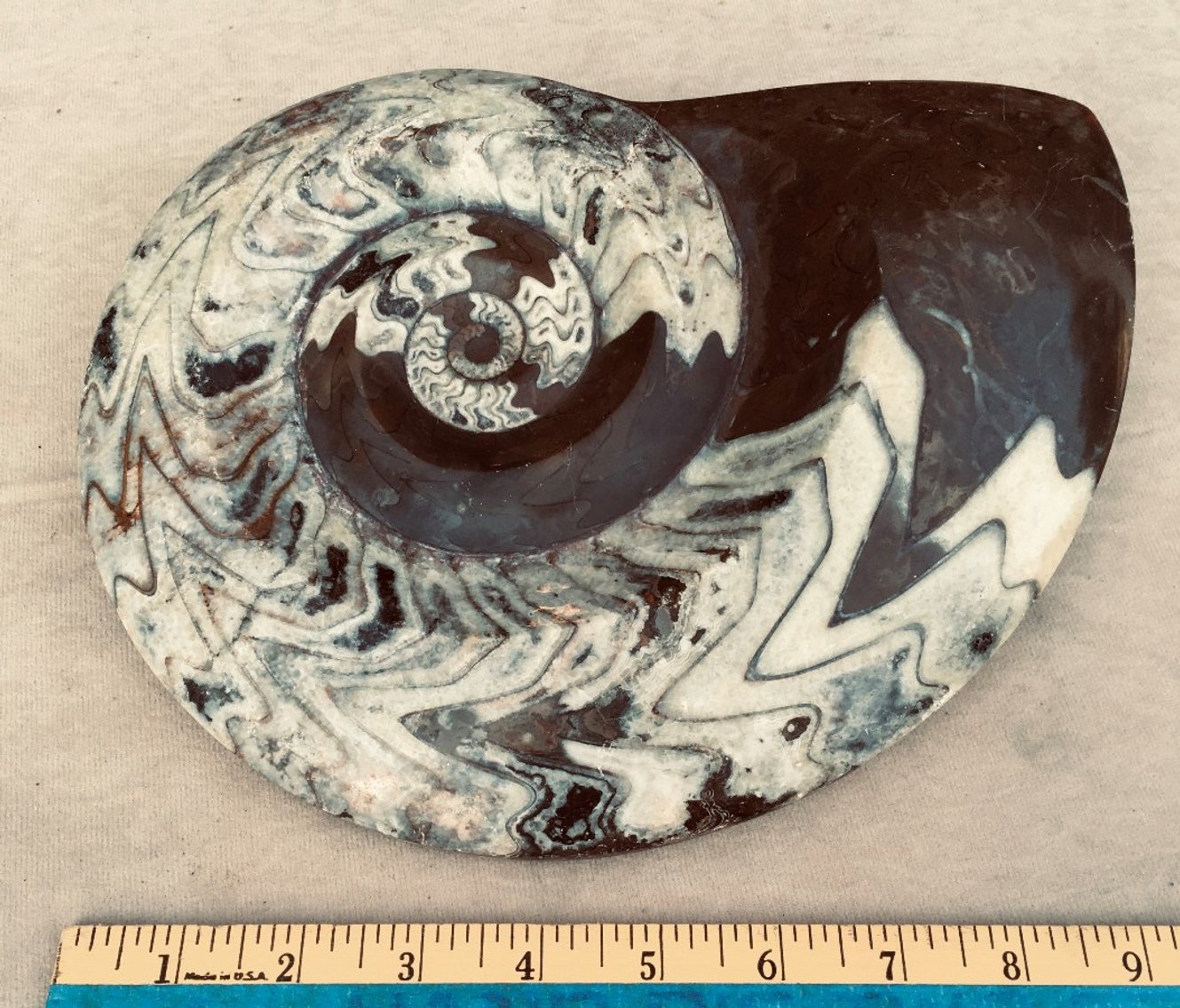 Image for Fossils, Museum Specimens, Minerals, Crystals & More