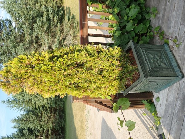 Image for Max & Bonnie Schotsch Relocating Sale - Ospringe