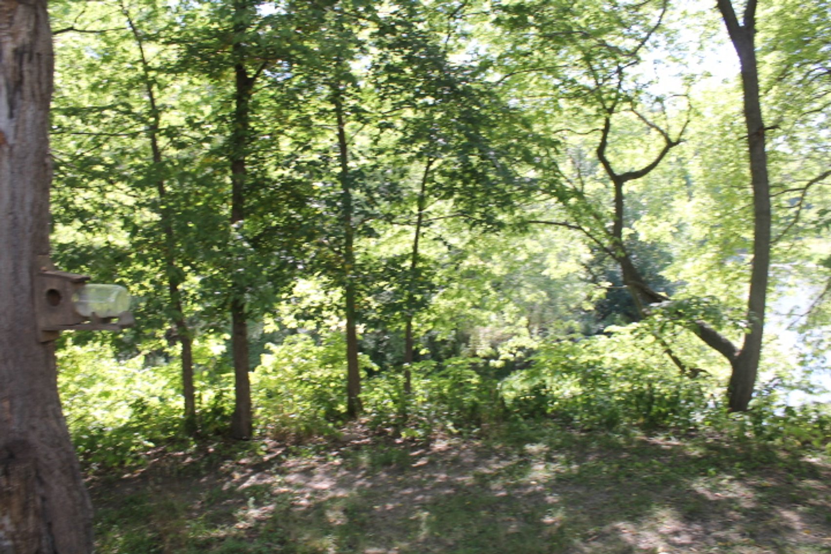 Image for Sac City Residential Home Online Only Auction!