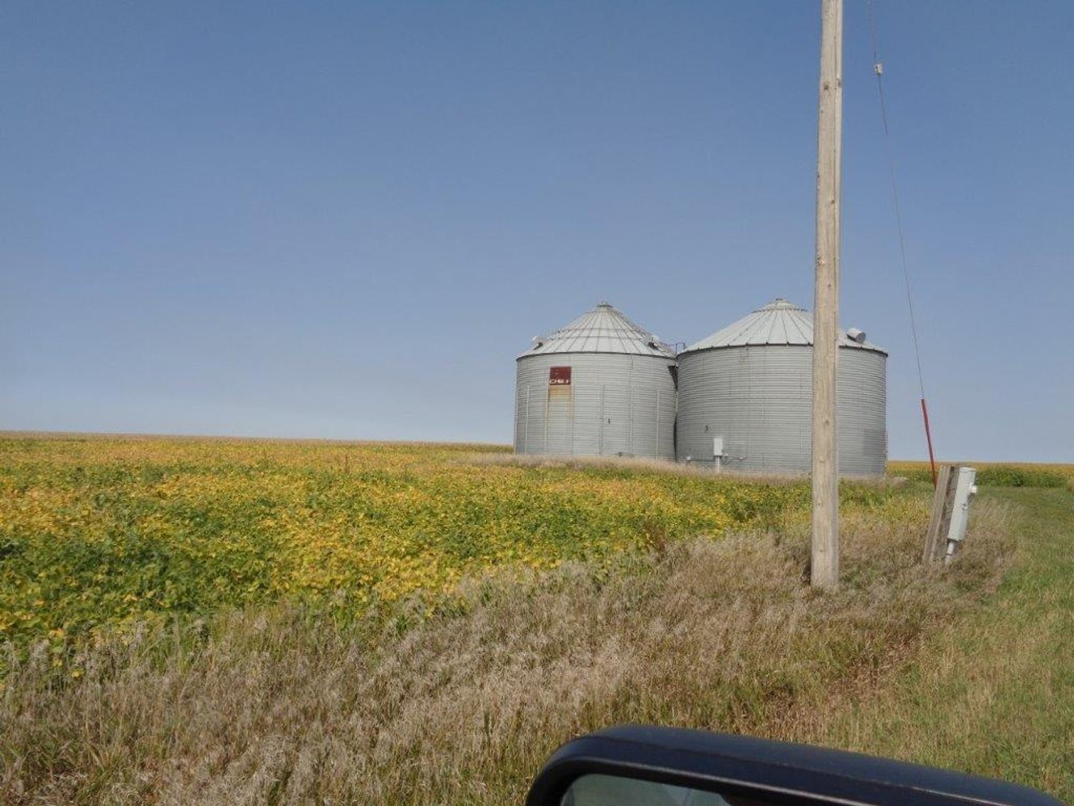 Image for Calhoun County Land Auction!