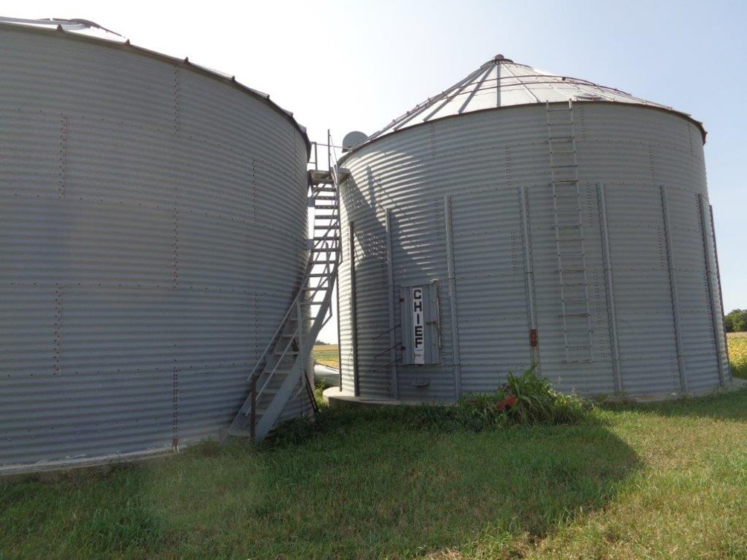 Image for Calhoun County Land Auction!