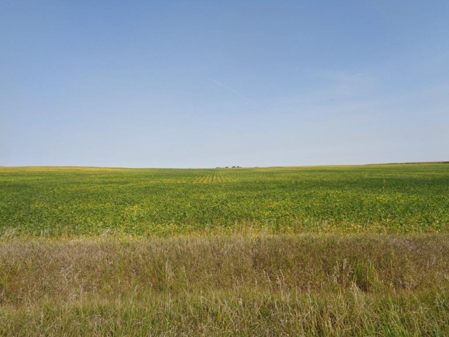 Image for Calhoun County Land Auction!