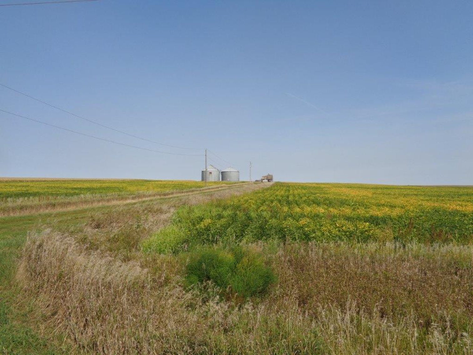 Image for Calhoun County Land Auction!