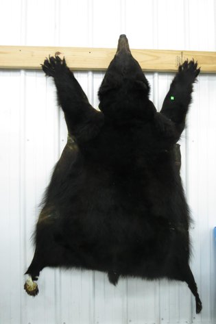 Image for Cold Springs Gallery