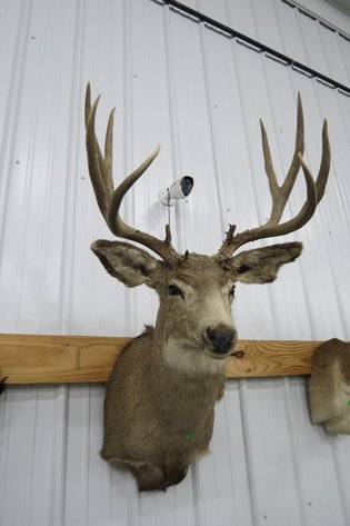 Image for Cold Springs Gallery