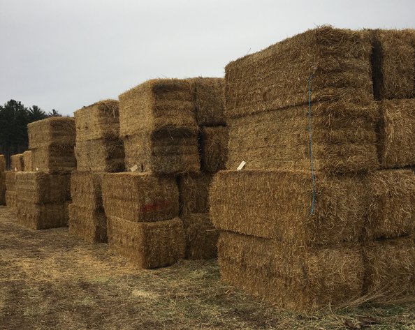 JANUARY HAY AND FIREWOOD AUCTION