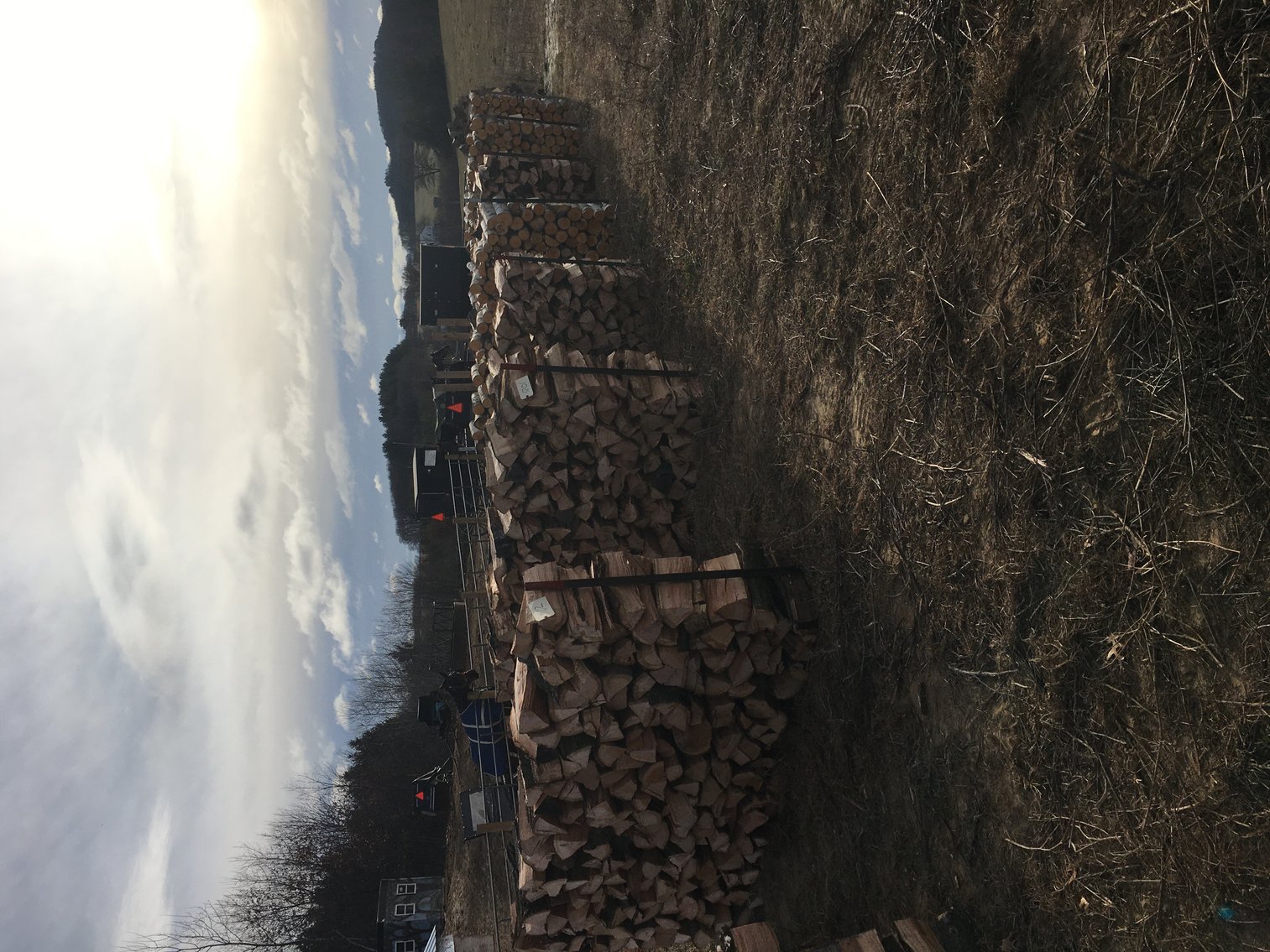 Image for EARLY FEBRUARY HAY AND FIREWOOD AUCTION