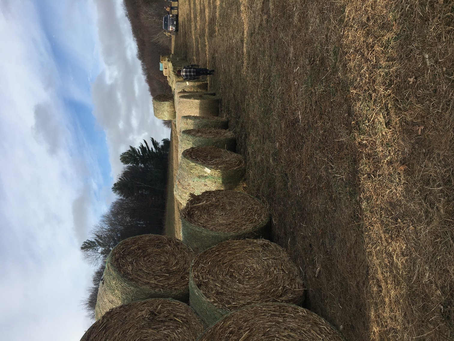 Image for LATE FEBRUARY HAY AND FIREWOOD AUCTION