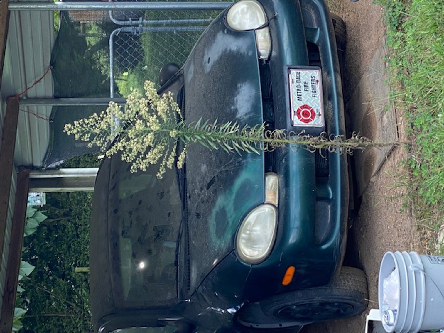 Image for Estate of Leslie H. Spear (living) ON SITE - LIVE