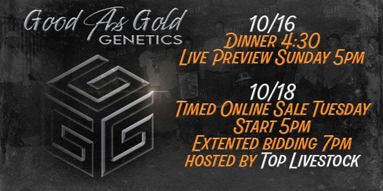 Image for Good As Gold Genetics - Fall Sale #3