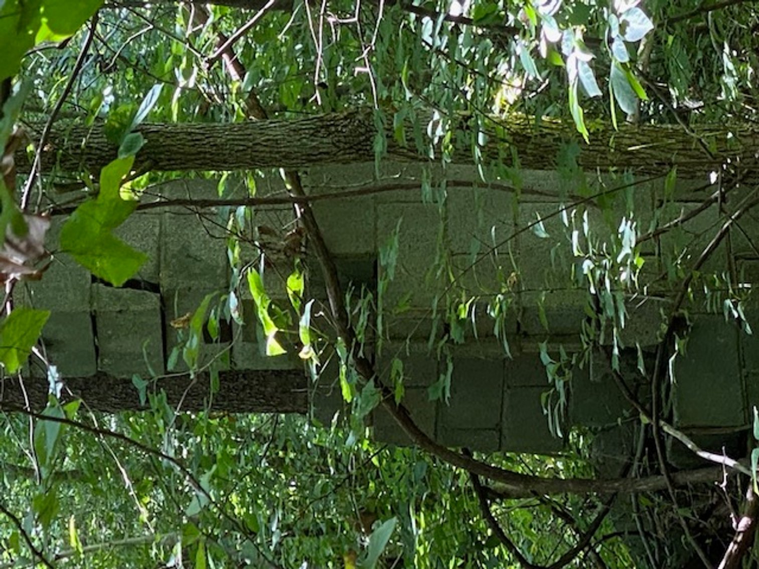 Image for Real Estate Auction Axton & Cascade, VA - Owned by Fitts family