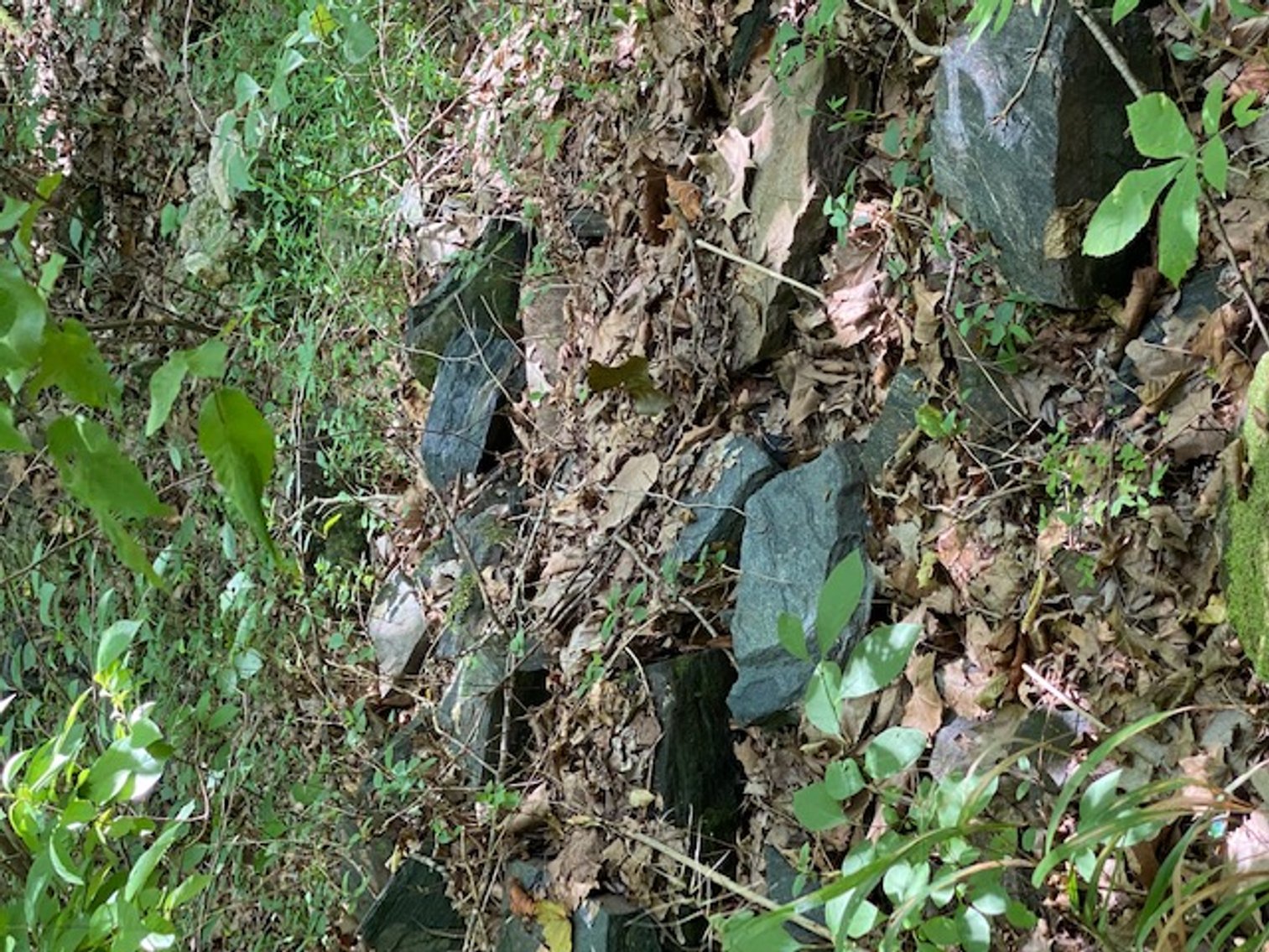 Image for Real Estate Auction Axton & Cascade, VA - Owned by Fitts family